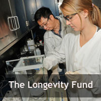 Looking for biological immortality with the longevity fund