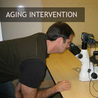 Aging intervention begins with research