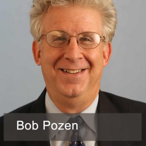 Bob Pozen, Too Big to Save