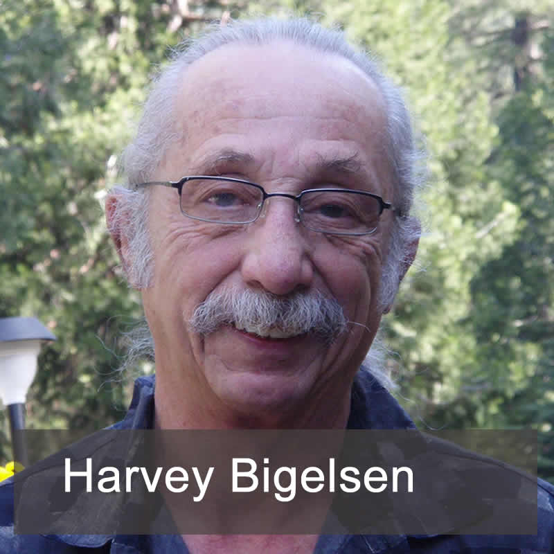 Dr Harvey Bigelsen, author of Doctors are More Harmful Than Germs: How Surgery Can Be Hazardous to Your Health